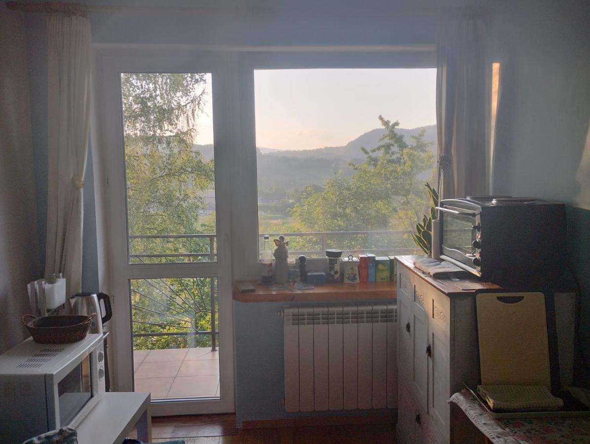 Nowa Jutrzenka Apartment Stryszawa ภายนอก รูปภาพ